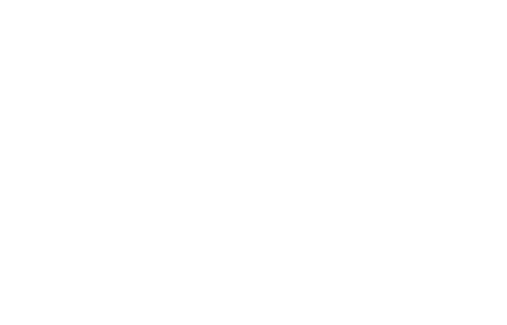 ACIDES_ LOGO - NEGATIVO DEGRADADO